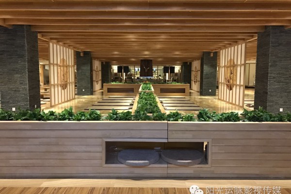 舒康按摩，重庆养生秘籍，舒缓身心，享受健康之旅